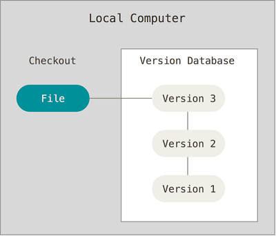 Local version control system